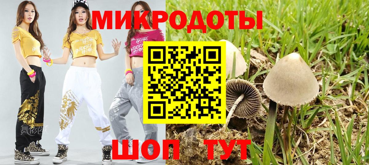 Псилоцибиновые грибы Cubensis  Вход с VPN  Краснознаменск 