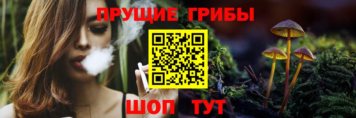 Псилоцибиновые грибы мицелий Краснознаменск